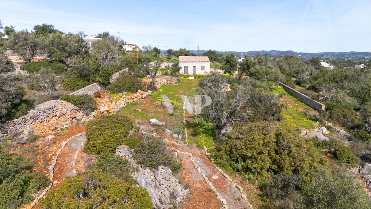 Terreno para Venda em Olhão Foto 8