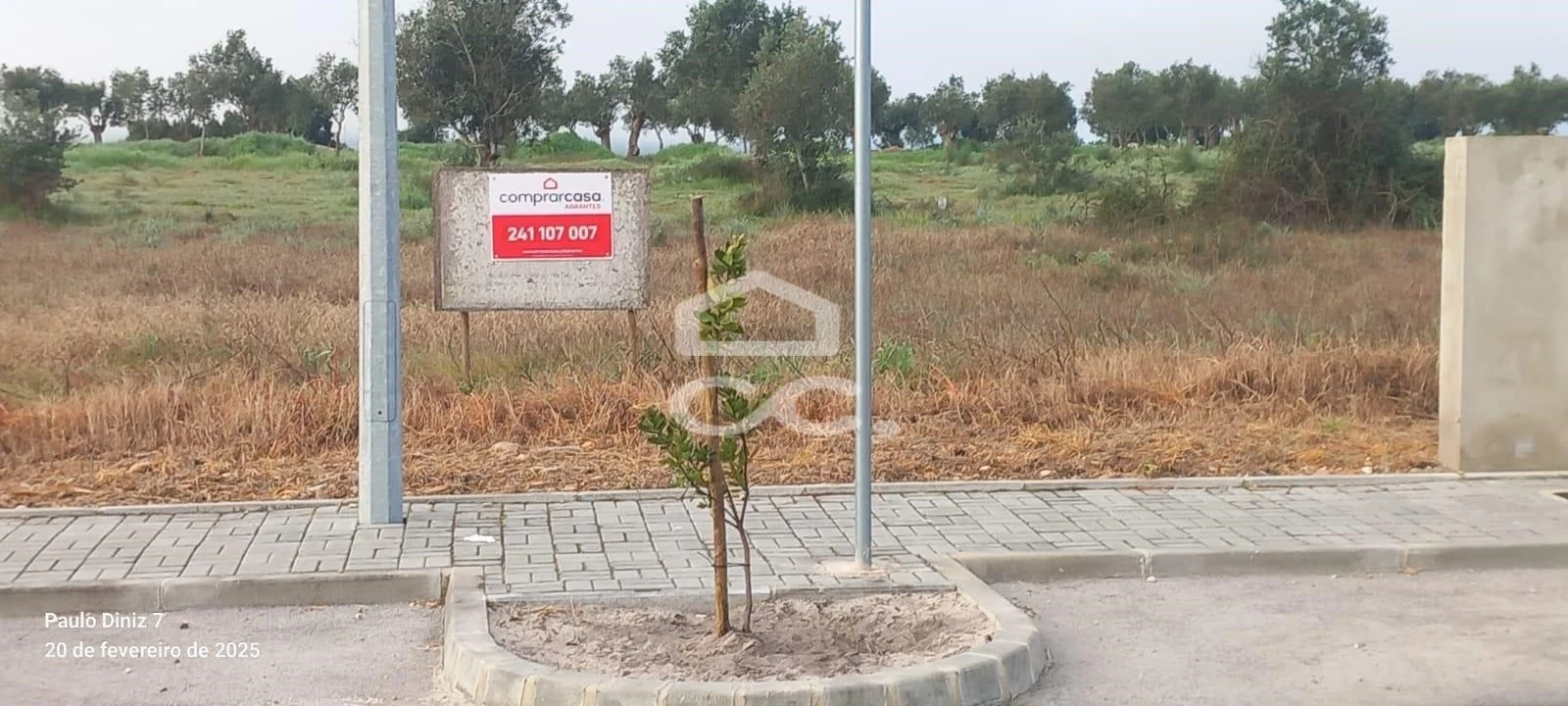 Terreno para Venda em Montalvo Foto 3