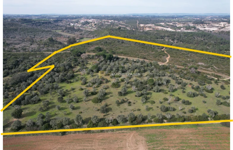 Terreno Agricola ou Rústico para Venda em Almoster Foto 3