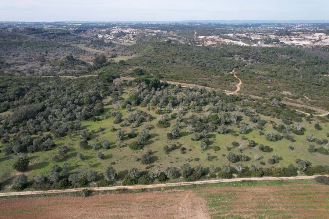 Terreno Agricola ou Rústico para Venda em Almoster Foto 1