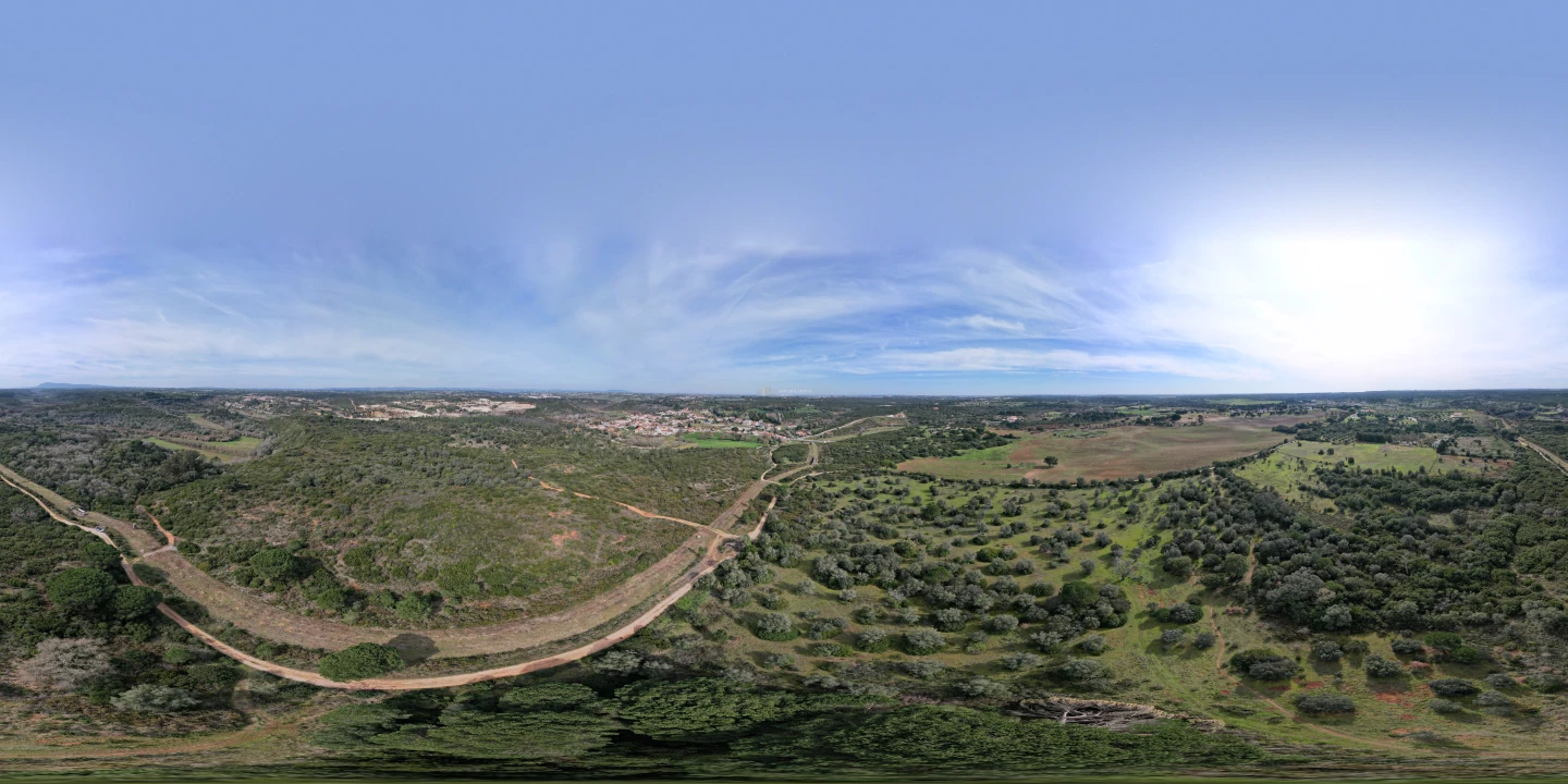 Terreno Agricola ou Rústico para Venda em Almoster Foto 5