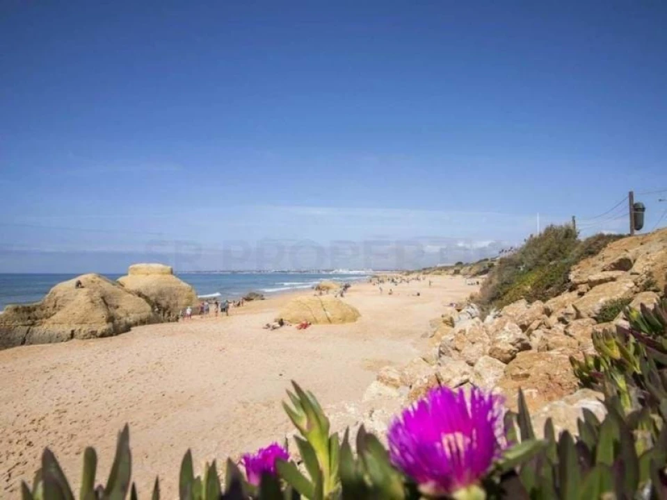 Moradia T4 para Venda em Guia Foto 34