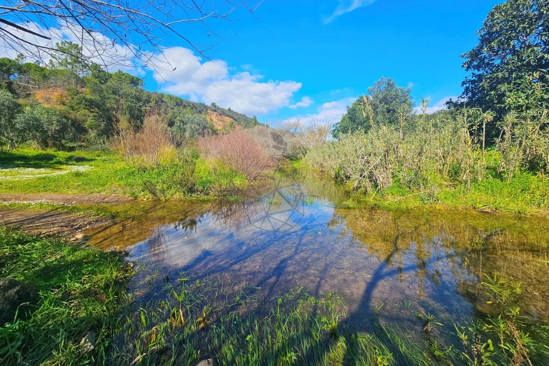 Terreno para Venda em Marmelete Foto 7