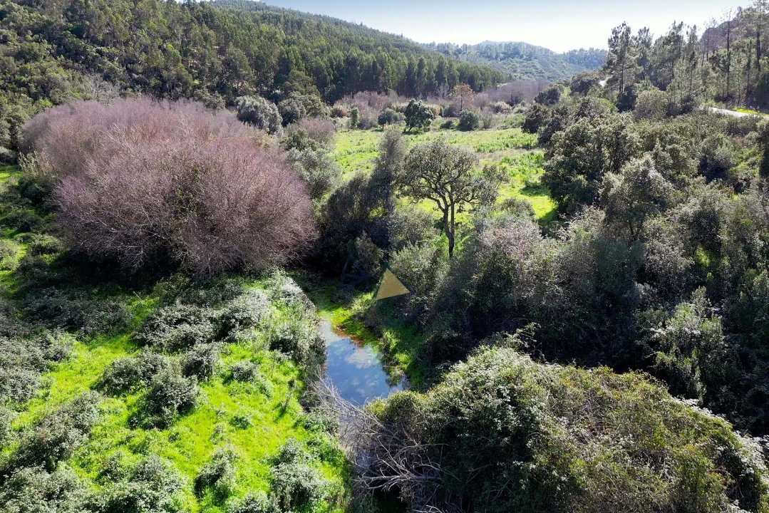 Terreno para Venda em Marmelete Foto 9