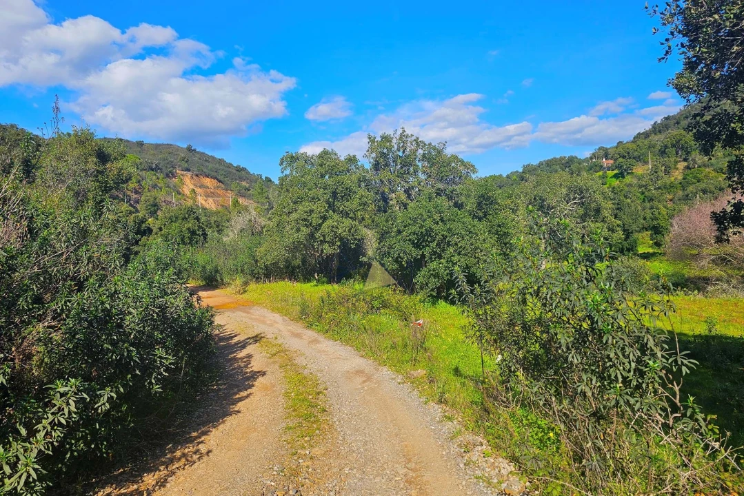 Terreno para Venda em Marmelete Foto 13