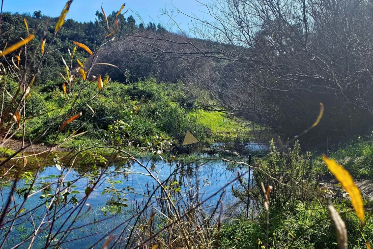 Terreno para Venda em Marmelete Foto 2