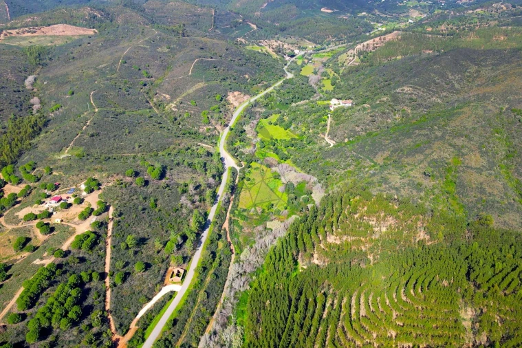 Terreno para Venda em Marmelete Foto 22