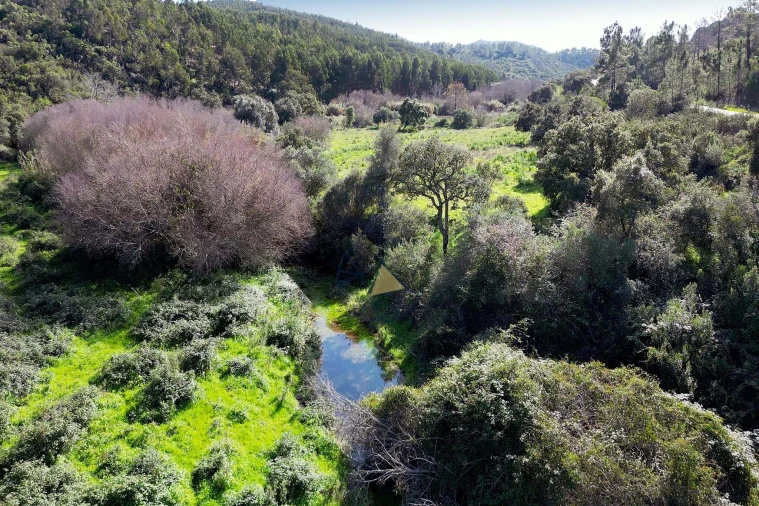 Terreno para Venda em Marmelete Foto 9