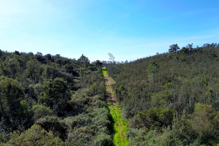 Terreno para Venda em Marmelete Foto 17