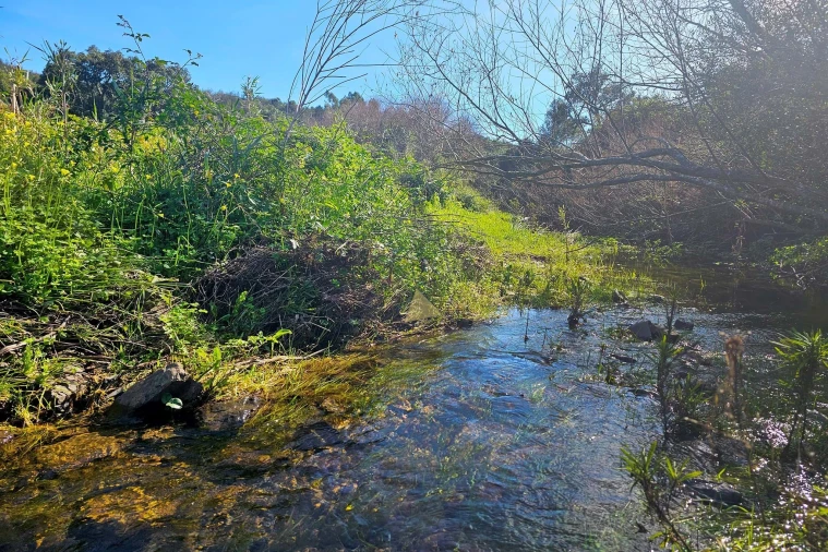 Terreno para Venda em Marmelete