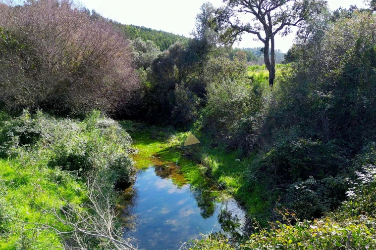 Terreno para Venda em Marmelete Foto 11
