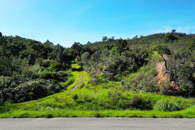 Terreno para Venda em Marmelete Foto 16