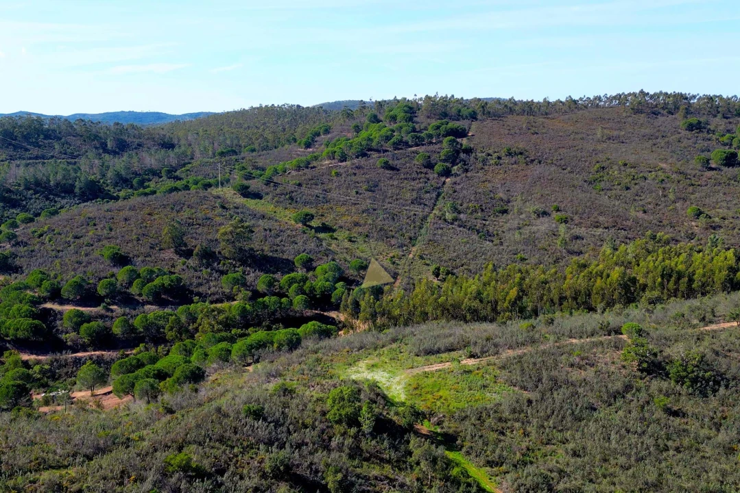 Terreno para Venda em Marmelete Foto 18
