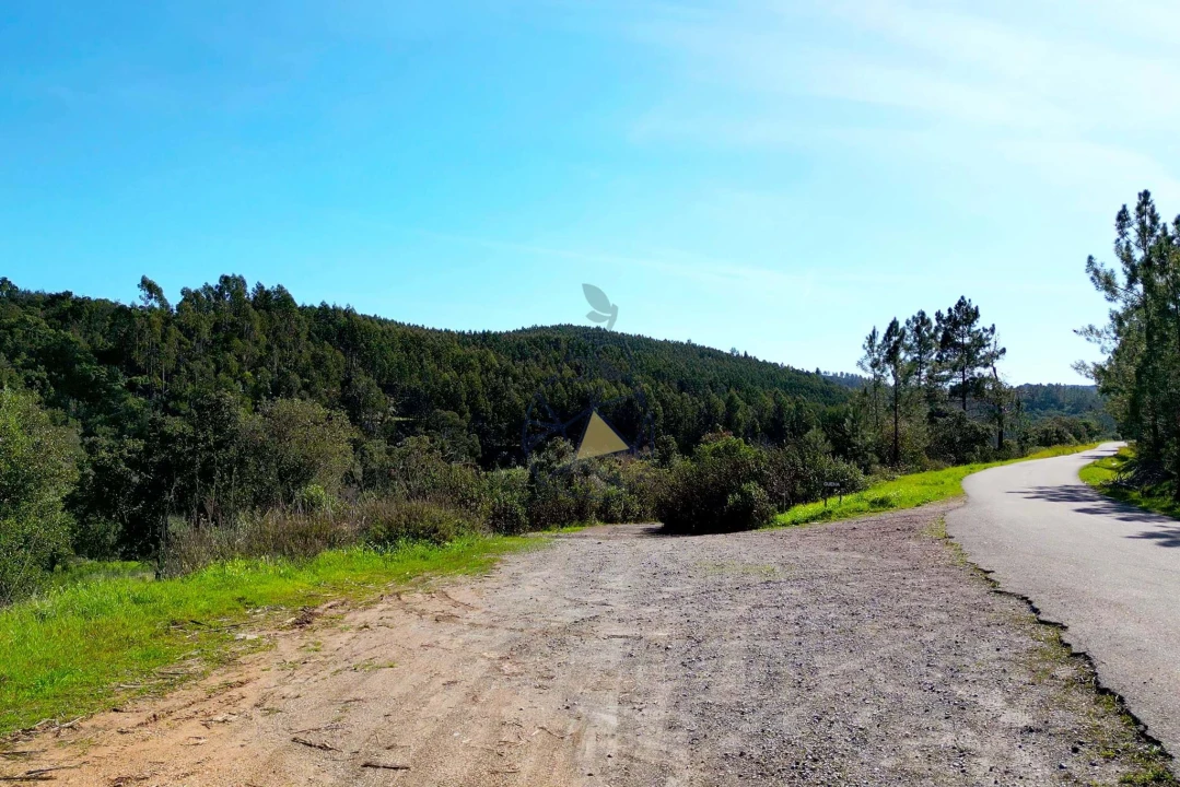 Terreno para Venda em Marmelete Foto 12