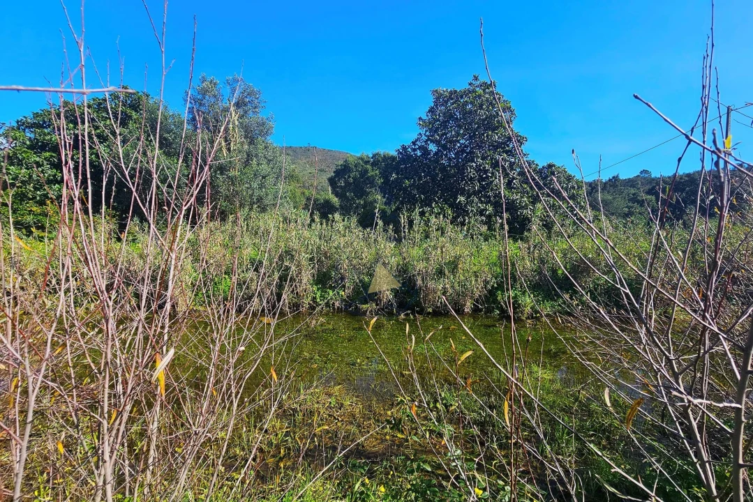 Terreno para Venda em Marmelete Foto 10