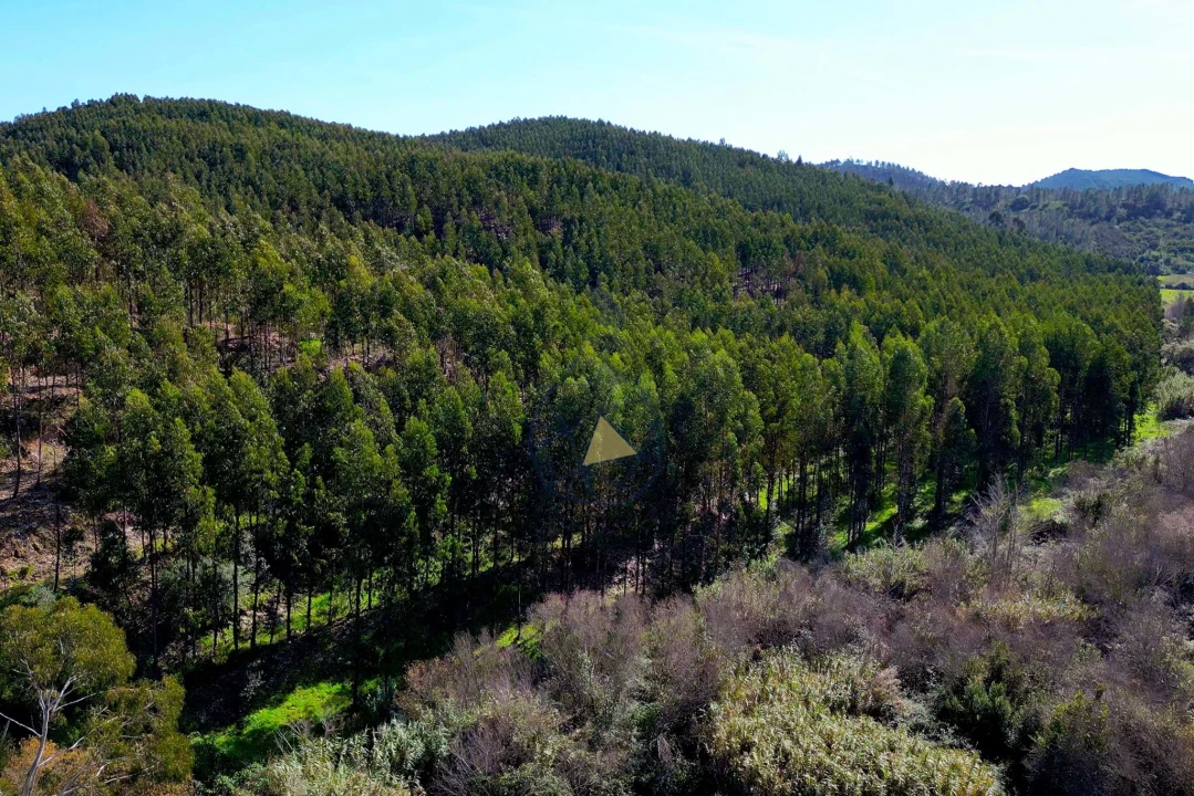 Terreno para Venda em Marmelete Foto 28