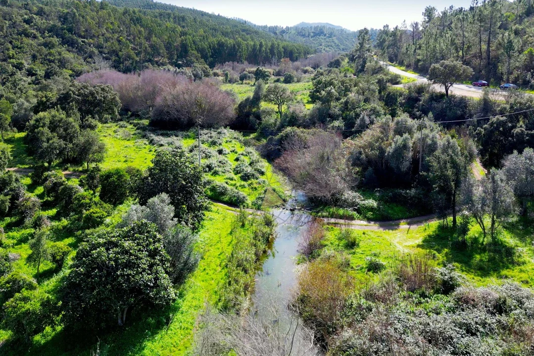 Terreno para Venda em Marmelete Foto 4