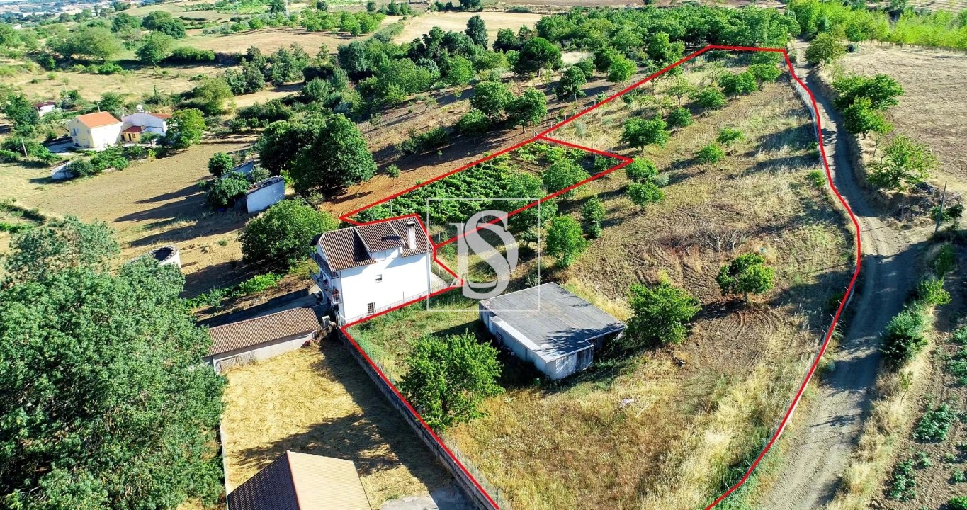 Terreno para Venda em Castro de Avelãs Foto 1