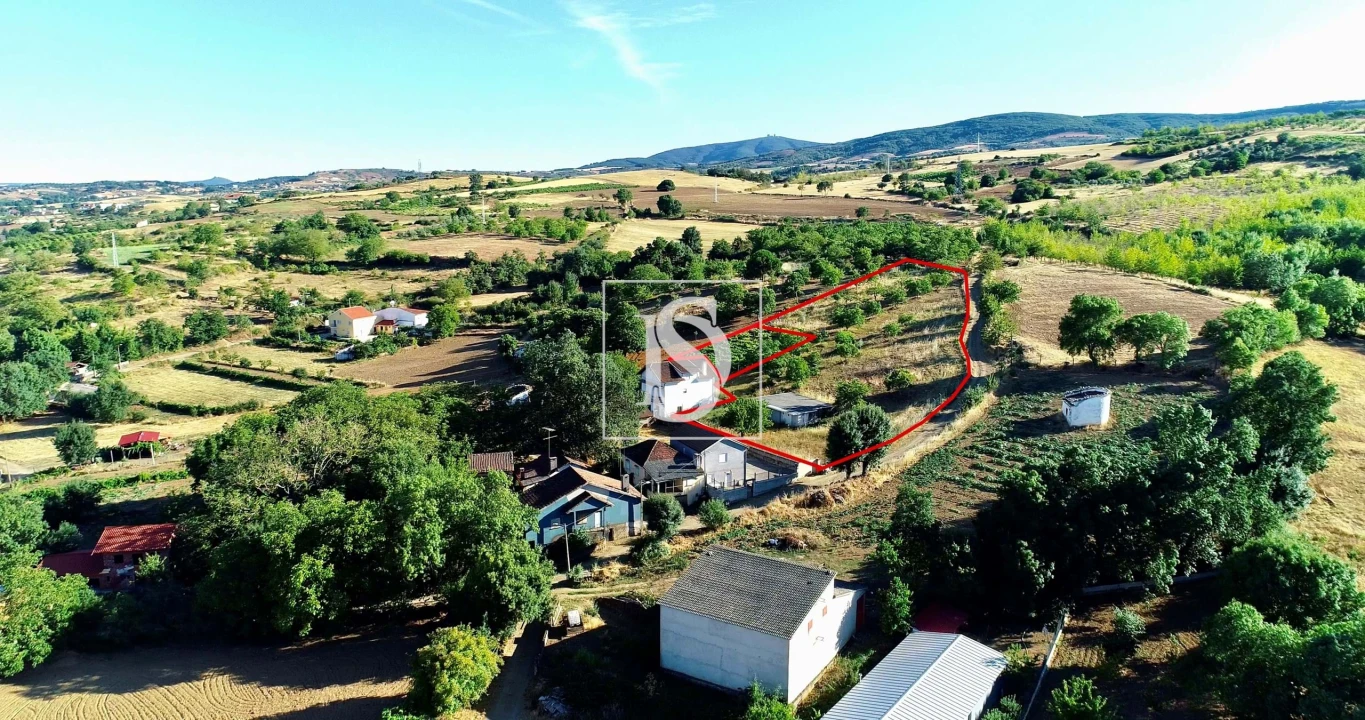 Terreno para Venda em Castro de Avelãs Foto 12