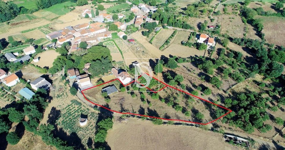 Terreno para Venda em Castro de Avelãs Foto 3