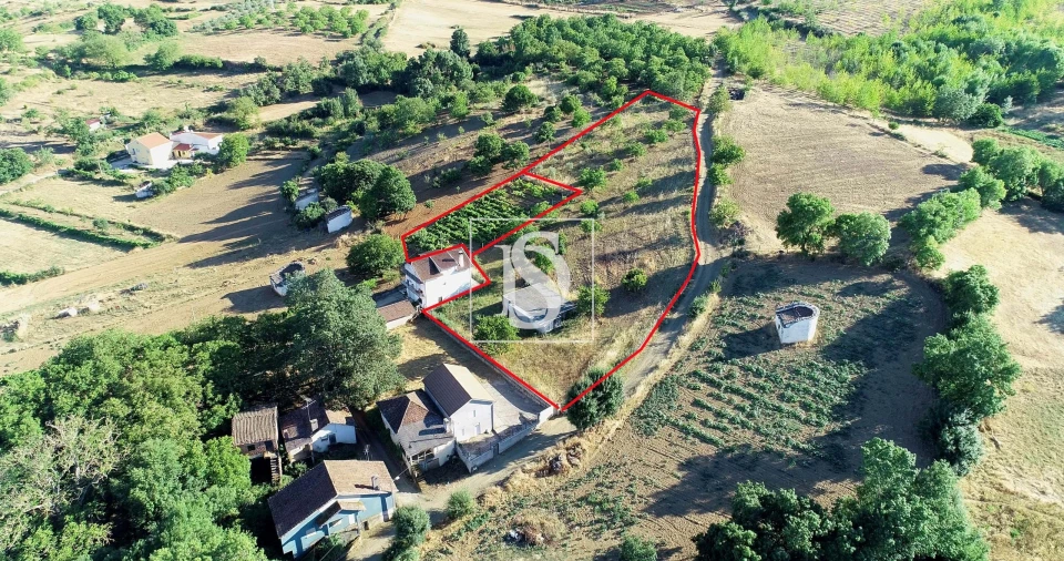 Terreno para Venda em Castro de Avelãs Foto 15