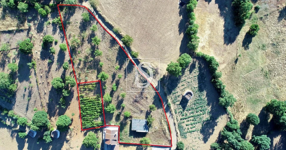 Terreno para Venda em Castro de Avelãs Foto 5