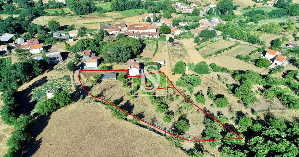 Terreno para Venda em Castro de Avelãs Foto 4