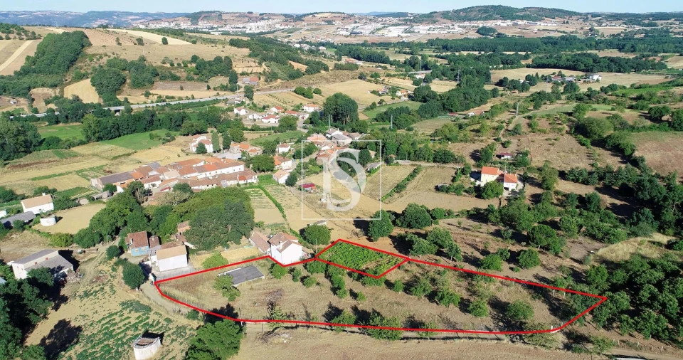 Terreno para Venda em Castro de Avelãs Foto 2