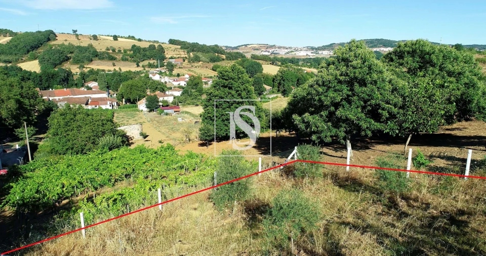 Terreno para Venda em Castro de Avelãs Foto 7