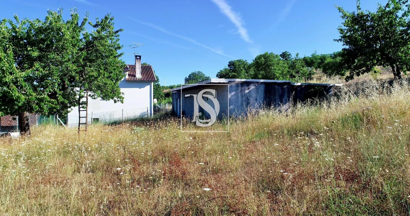 Terreno para Venda em Castro de Avelãs Foto 9