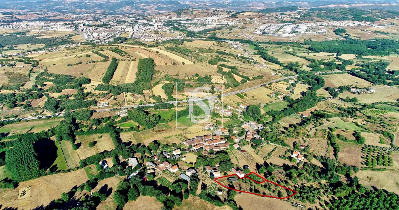 Terreno para Venda em Castro de Avelãs Foto 13