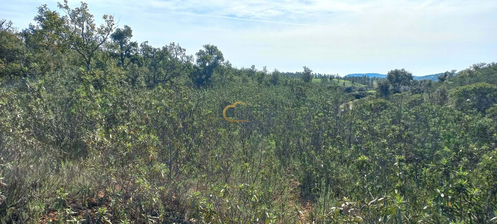 Terreno Agricola ou Rústico para Venda em São Bartolomeu de Messines Foto 8