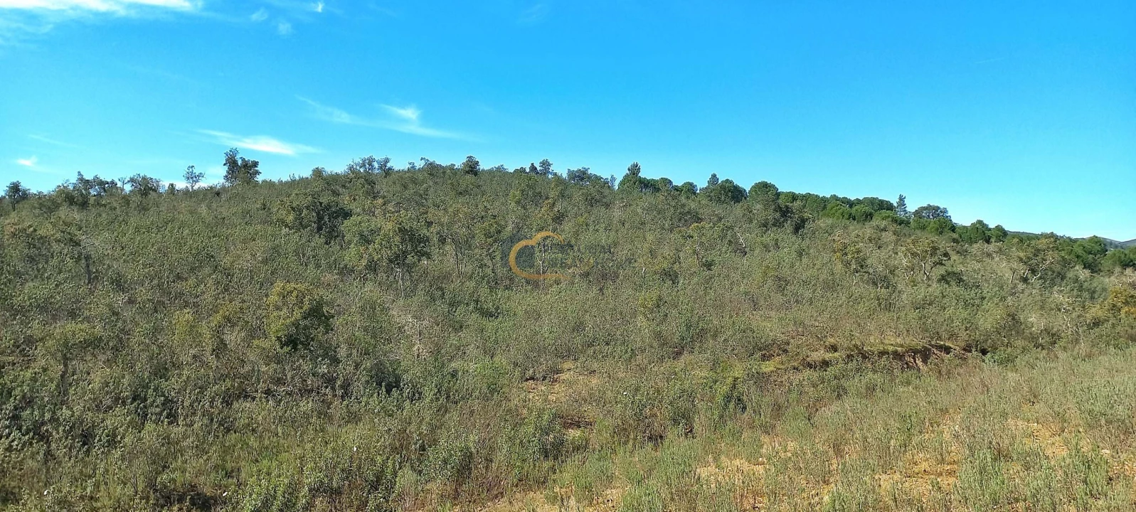 Terreno Agricola ou Rústico para Venda em São Bartolomeu de Messines Foto 3