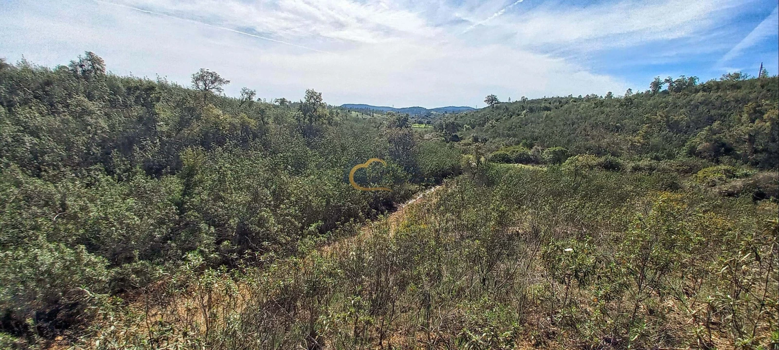 Terreno Agricola ou Rústico para Venda em São Bartolomeu de Messines Foto 14