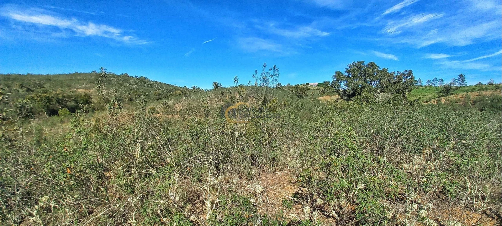 Terreno Agricola ou Rústico para Venda em São Bartolomeu de Messines Foto 11