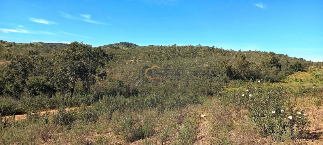 Terreno Agricola ou Rústico para Venda em São Bartolomeu de Messines Foto 4