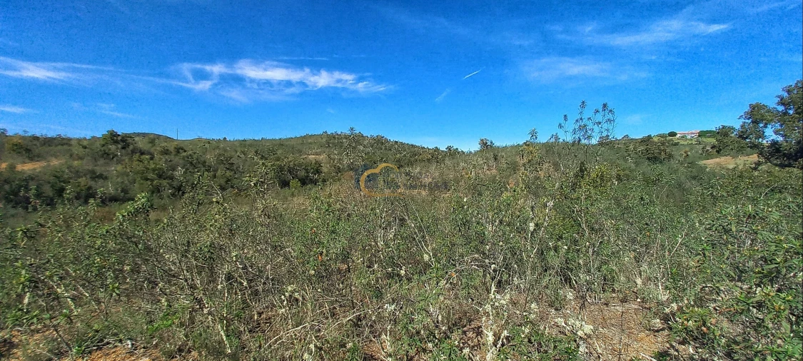 Terreno Agricola ou Rústico para Venda em São Bartolomeu de Messines Foto 12