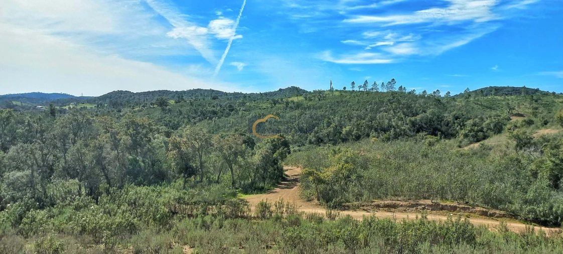 Terreno Agricola ou Rústico para Venda em São Bartolomeu de Messines Foto 17