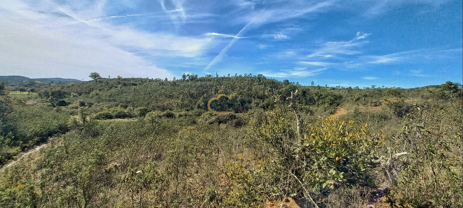 Terreno Agricola ou Rústico para Venda em São Bartolomeu de Messines Foto 15