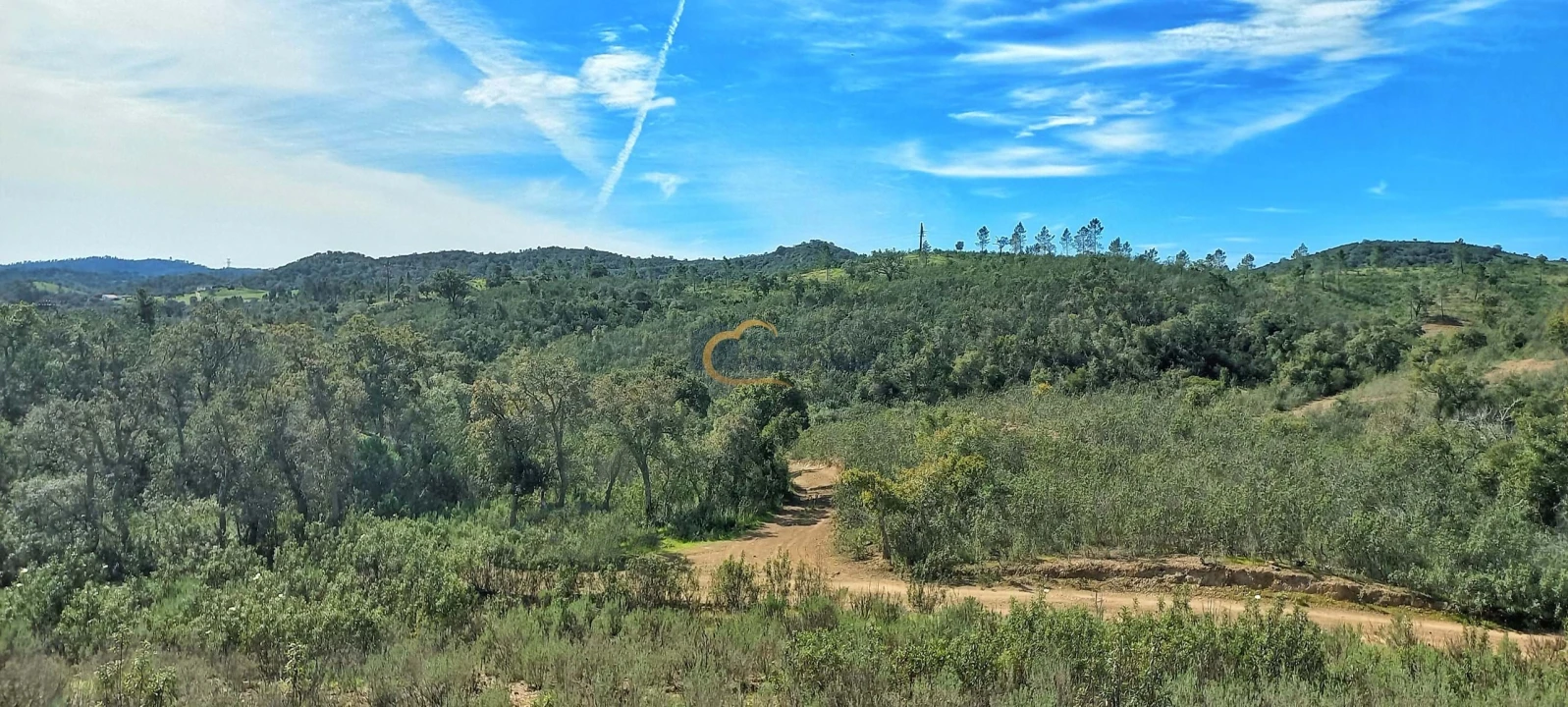Terreno Agricola ou Rústico para Venda em São Bartolomeu de Messines Foto 17