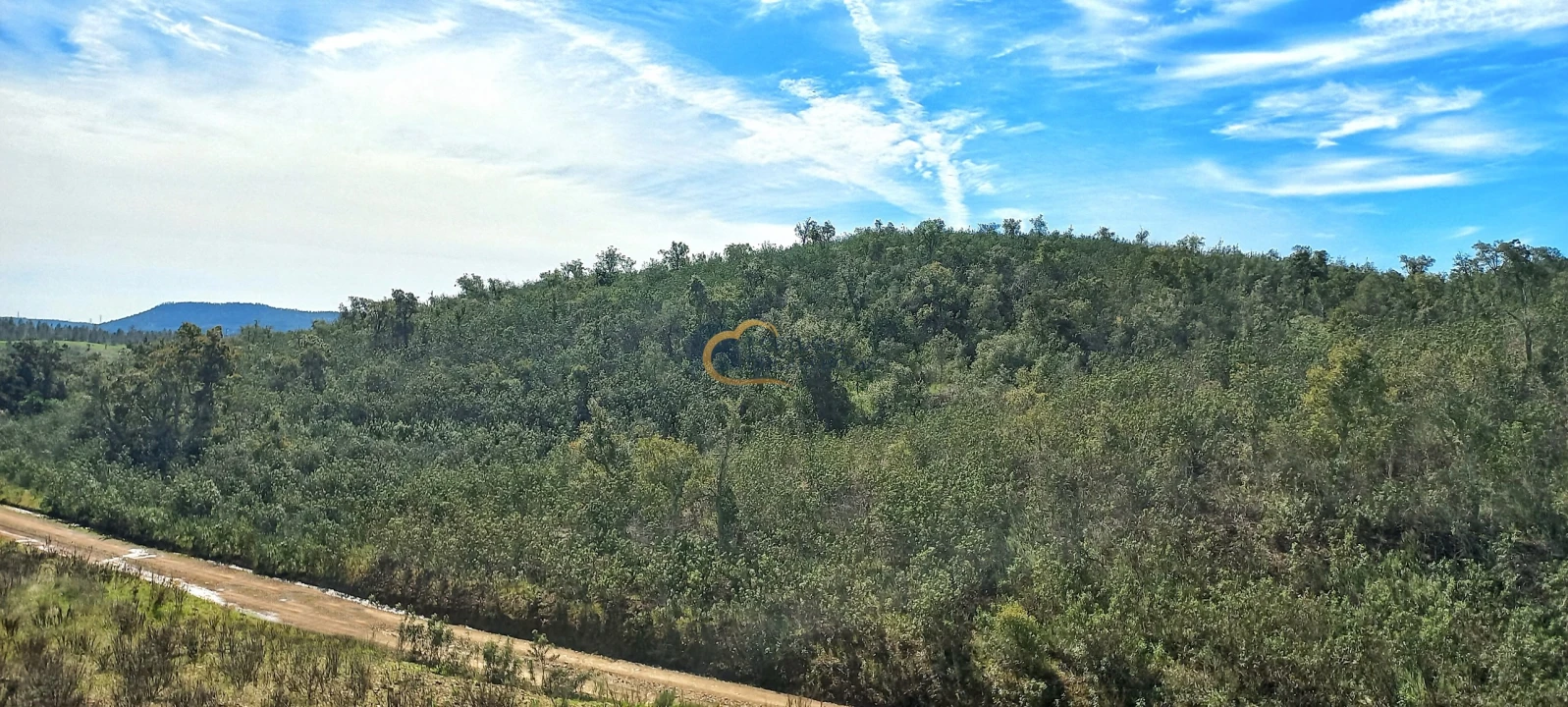 Terreno Agricola ou Rústico para Venda em São Bartolomeu de Messines Foto 16