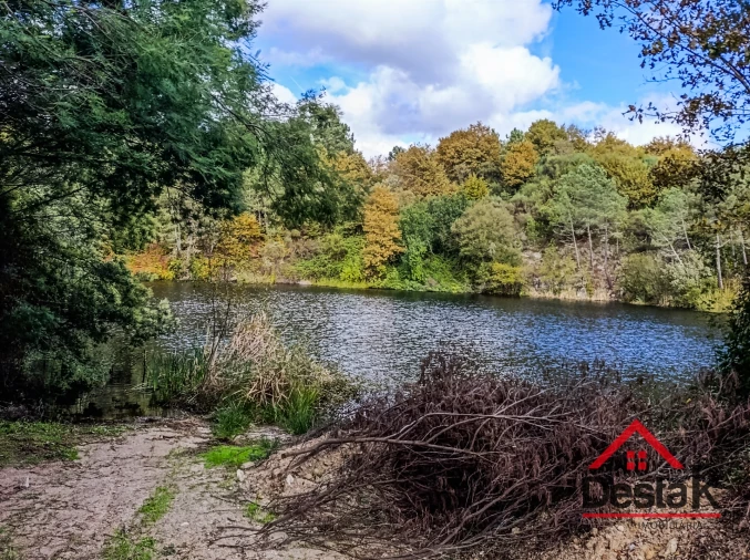 Quinta T0 para Venda em Queirã Foto 37