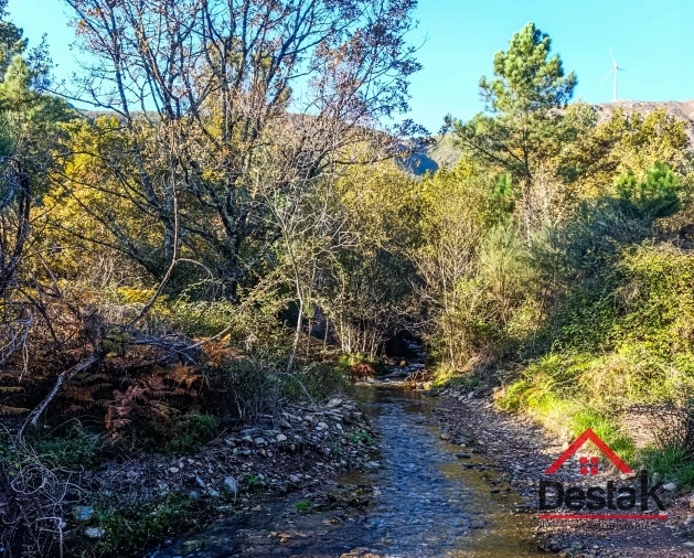 Quinta T0 para Venda em Queirã Foto 35