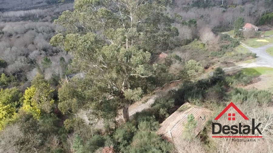 Quinta T0 para Venda em Queirã Foto 11