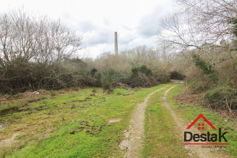 Quinta T0 para Venda em Queirã Foto 27