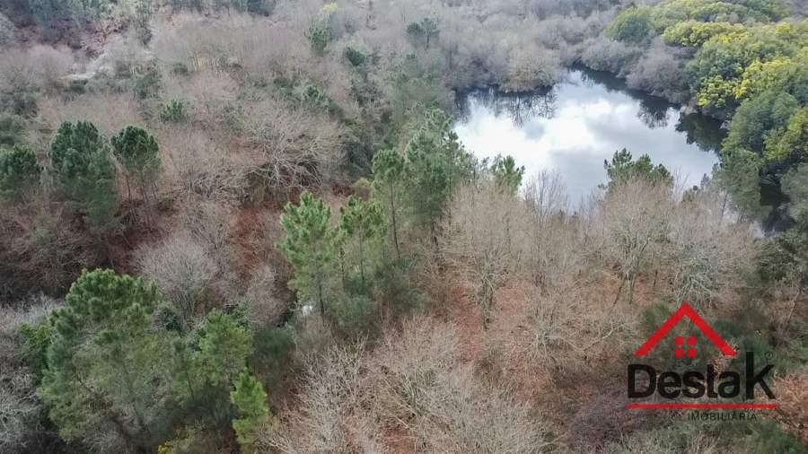Quinta T0 para Venda em Queirã Foto 3