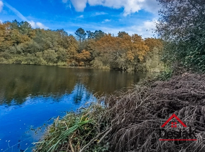 Quinta T0 para Venda em Queirã Foto 41