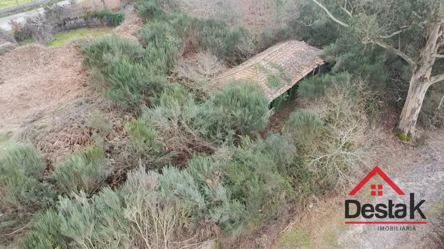 Quinta T0 para Venda em Queirã Foto 7