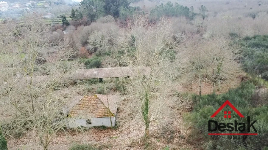 Quinta T0 para Venda em Queirã Foto 12