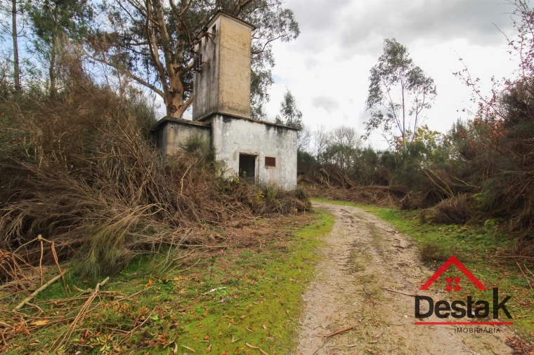 Quinta T0 para Venda em Queirã Foto 30